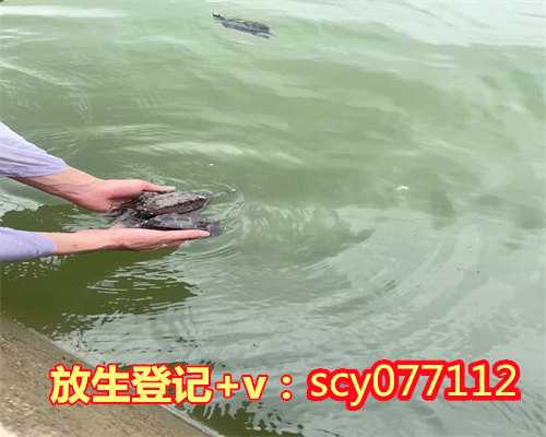 南京鸡鸣寺放生，南京琵琶湖现众多死河蚌疑为不当放生